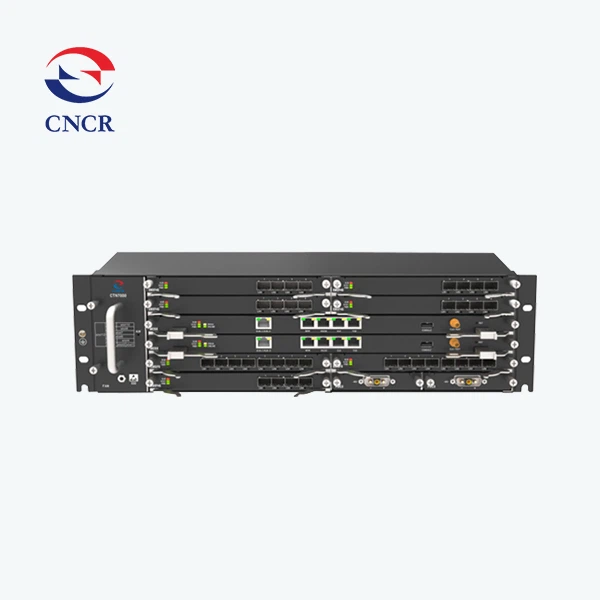 IP - MPLS Router